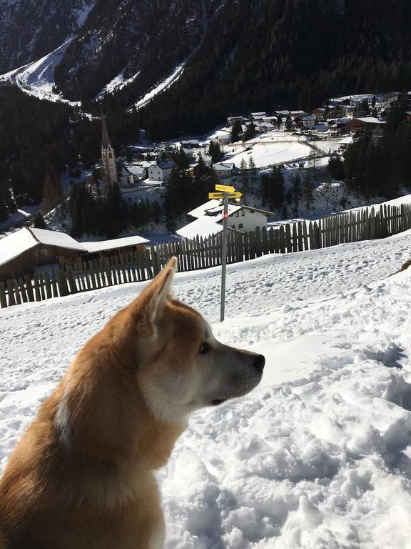 Pension Alpenrose Sankt Sigmund im Sellrain エクステリア 写真