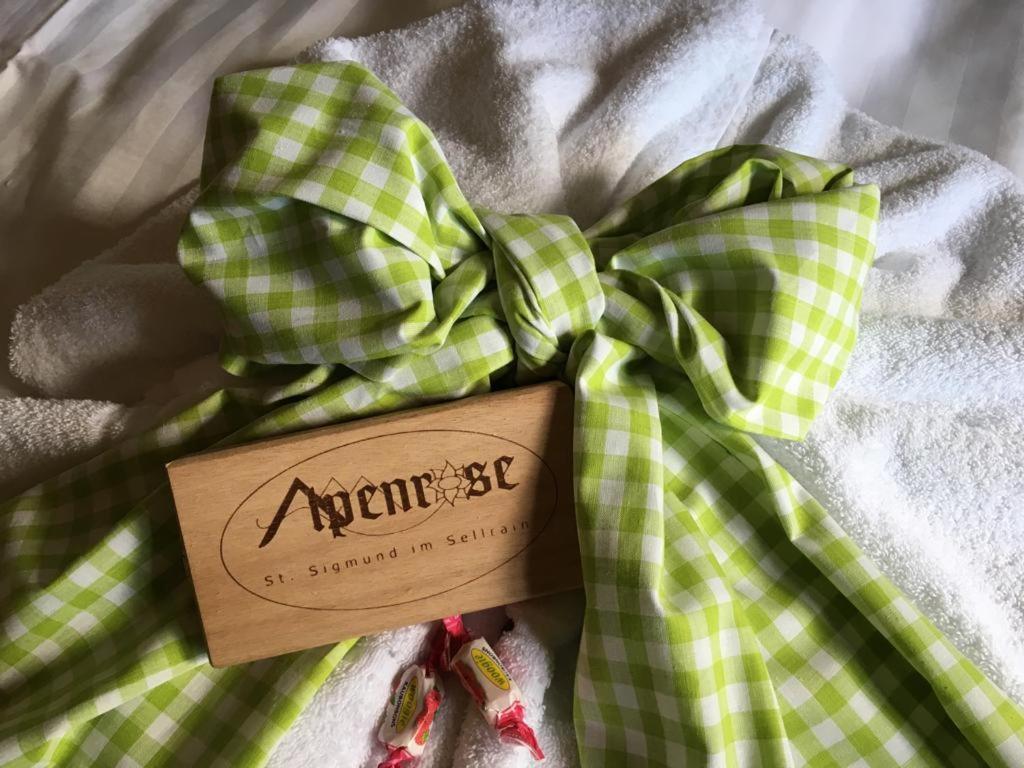 Pension Alpenrose Sankt Sigmund im Sellrain エクステリア 写真