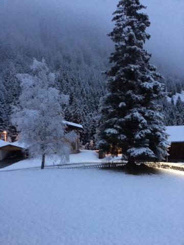 Pension Alpenrose Sankt Sigmund im Sellrain エクステリア 写真